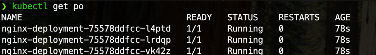 1157397-20241027212442023-50067430