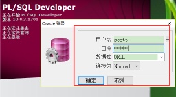 PLSQL Developer使用教程及基础操作