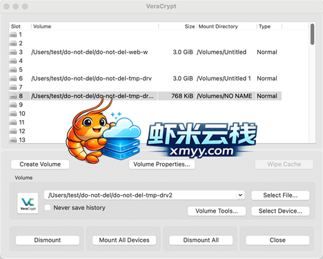 VeraCrypt11
